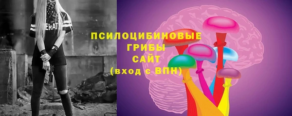 сатива Алексин