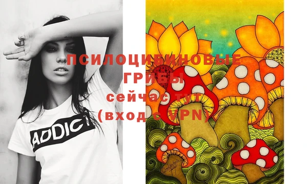 СК Богданович