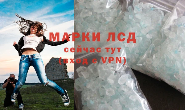 трава Аркадак