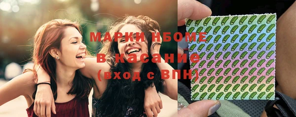 молекула духа Богородицк