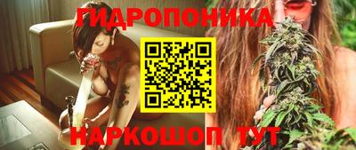 твердый Моздок