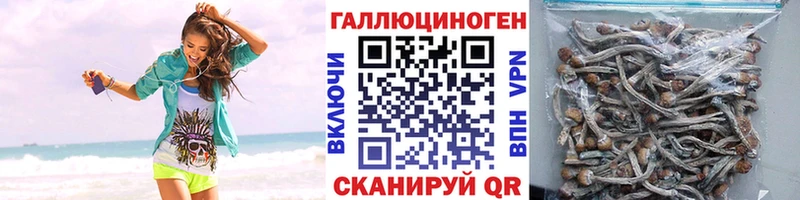 где купить наркоту  Лобня  Псилоцибиновые грибы мухоморы 